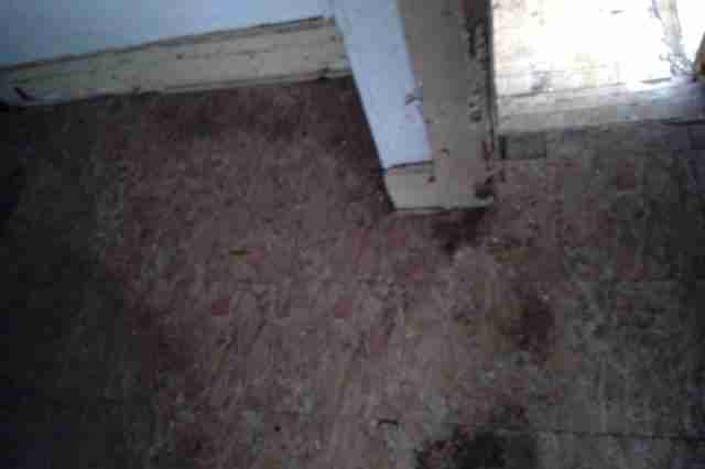 20153 Yacama (69).jpg